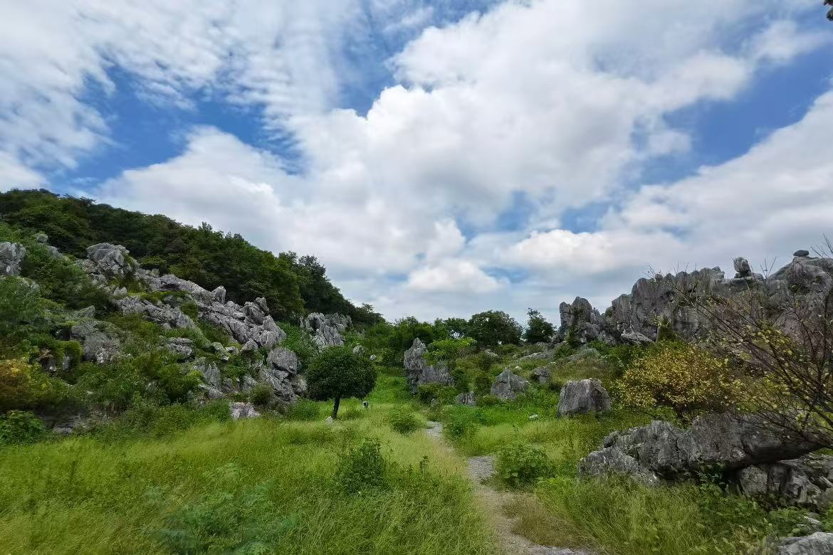 Leping Strange Stone Forest